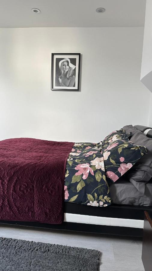 Stunning New 1 Bedroom Apartment Londen Buitenkant foto